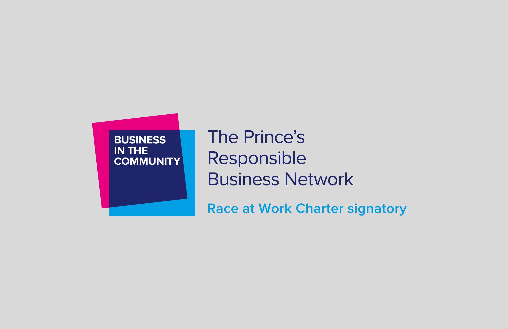 Image related to Race at Work Charter